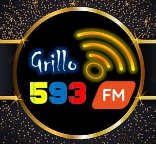 GRILLO FM 593