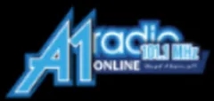 A1-RADIO-1011MHz-Bolgatanga