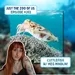 203: Cuttlefish w/ Meg Mindlin!