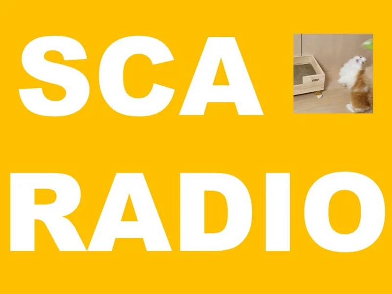 SCA Radio Alternative