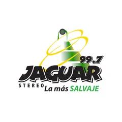 Jaguar Stereo