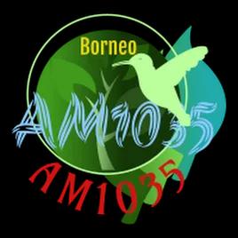 Borneo AM1035