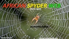 African Spyder Web