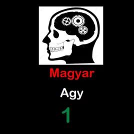 MagyarAgy1
