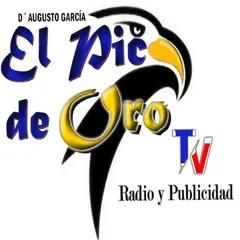 El Pico de Oro Radio y TV