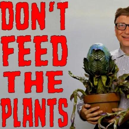 Show sample for 9/20/21: DON’T FEED THE PLANTS W/ AMBER KING
