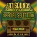 Special Selection Fat Sounds Sonidos Gordos Nº344 19set2021