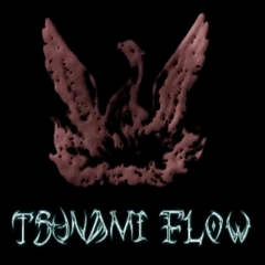 Tsunami Flow Radio