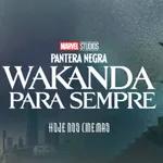 Nerdebate 396 - Pantera Negra: Wakanda para Sempre
