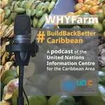 #BuildBackBetterCaribbean Ep 2 - The Why in WHYFarm: revolutionising agriculture 