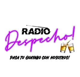 DESPECHO RADIO PANAMÁ