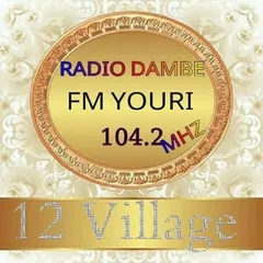 Radio DAMBE Youri FM