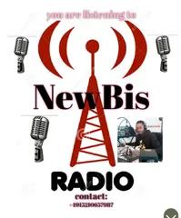 NEWBIS radio