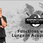 Functions of The Lungs - Acupuncture Is My Life