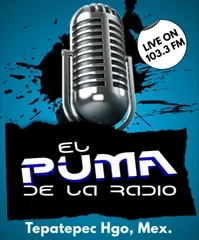 ElPumaDeLaRadio