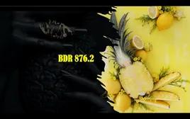 BDR 876.2