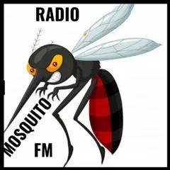 radio mosquito jatai