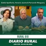 #DiarioRural - Silvio Baioco [31/10/22]