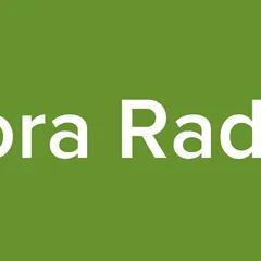 Ilora Radio