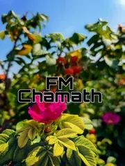 FM Chamath