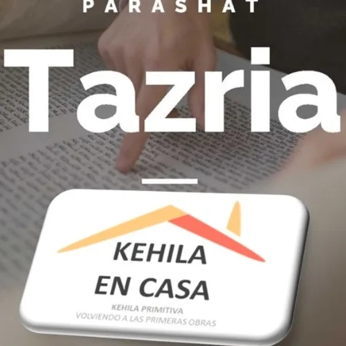 Parasha #27 Tazria, תזריע Ella concibe Lv 12:1 - 13:59