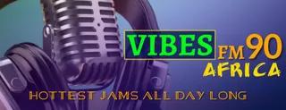 Vibes Fm90 African Radio