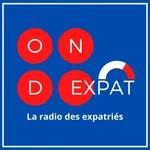 Podcast : pourquoi stigmatiser ainsi les Français de l’étranger ?