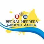 Bernal Herrera: «Coyunturas europeas - 2» en Miscelánea