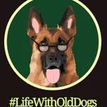 Keeping a Positive Mental Outlook While Caring for Your Older German Shepherd