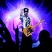 Prince: Indigo Nights - Live Sessions 2008