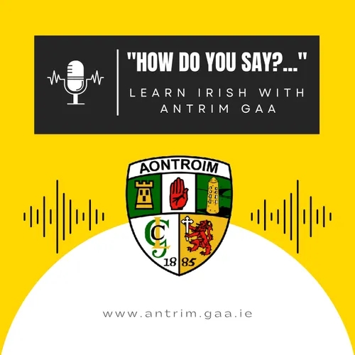 "How do you say...?" Learn Irish with Antrim GAA