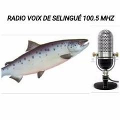 RADIO VOIX DE SELINGUE FM SELINGUE