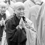 تشانج خونج/Chan Khong من كتاب البوذية في زمن الحرب
