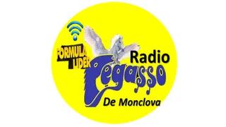 GRUPO RADIO PEGASSO DE MONCLOVA