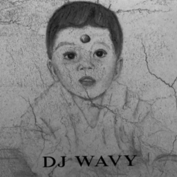 DJ W4VY -  I Might Link My Snehitane