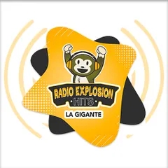 RADIO EXPLOSION HITS FM