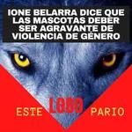 1172-Ione Belarra dice que las mascotas deber ser agravante de violencia de género-🐺 Estelobopario -☢-20-07-2021