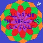 All About The Steller's Sea Eagle