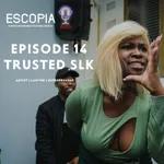 Episode 14 | Interview with TrustedSLK