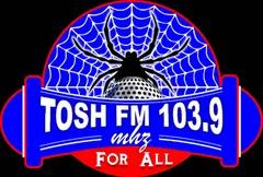 ToshFM1039