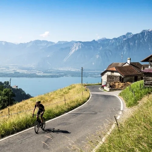T10C648: Otoño en Suiza junto al lago Lemán entre viñedos y las cimas de los Alpes