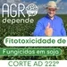 Fitotoxicidade de fungicidas em soja 