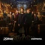 FUERA DE SERIE - Harry Potter: 20th Anniversary Return to Hogwarts
