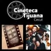 Óscar 2024, Maldiciones y Malditos en Hollywood y Cineteca Tijuana