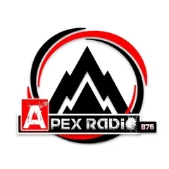 APEX RADIO 876