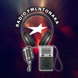 Radio FMLNTONAKA