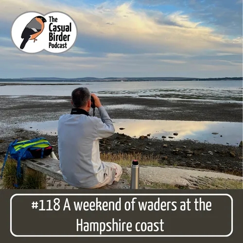 A weekend of waders at the Hampshire coast #118