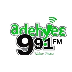 ADEHYIE FM 99.1MHZ