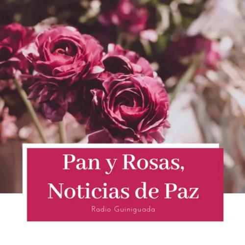 Pan y Rosas, Noticias de Paz