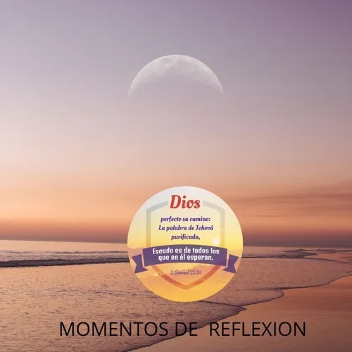 MOMENTOS DE REFLEXION